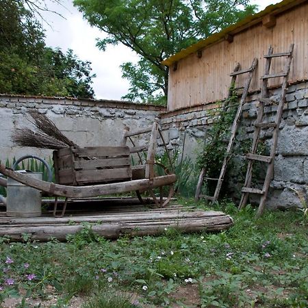 Apartament Notas Tuecsoek Vendeghaz Agyagosszergény Zewnętrze zdjęcie