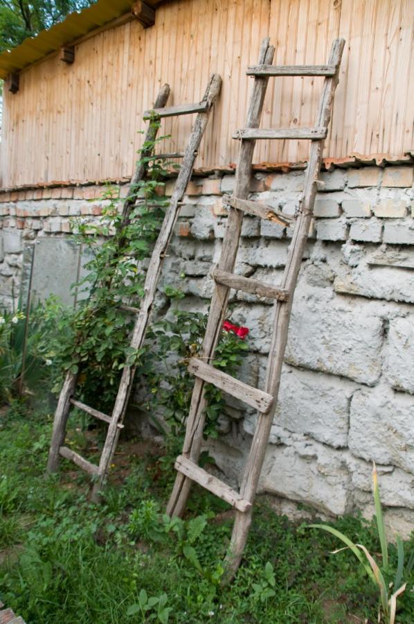 Apartament Notas Tuecsoek Vendeghaz Agyagosszergény Zewnętrze zdjęcie