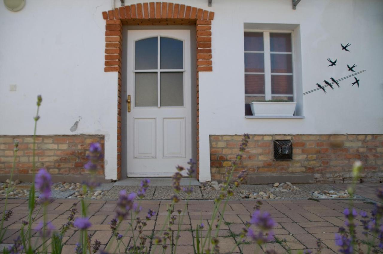 Apartament Notas Tuecsoek Vendeghaz Agyagosszergény Zewnętrze zdjęcie